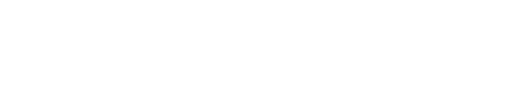 TCS iON